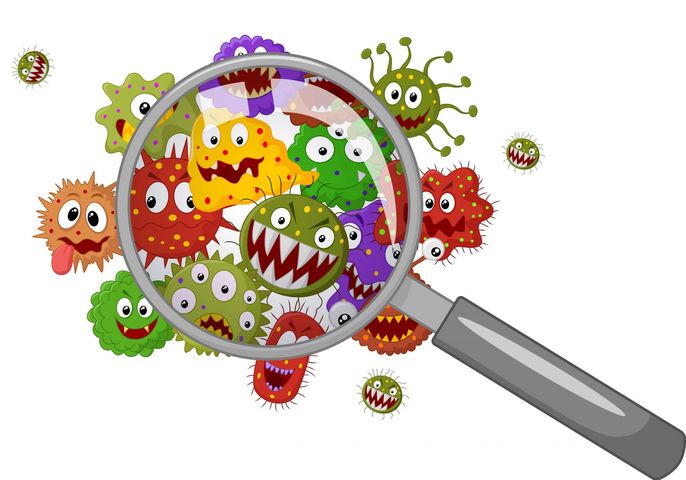 Riketsje są groźnymi bakteriami chorobotwórczymi, które dostają się do organizmu człowieka za pośrednictwem kleszczy, pcheł, wszy i roztoczy.