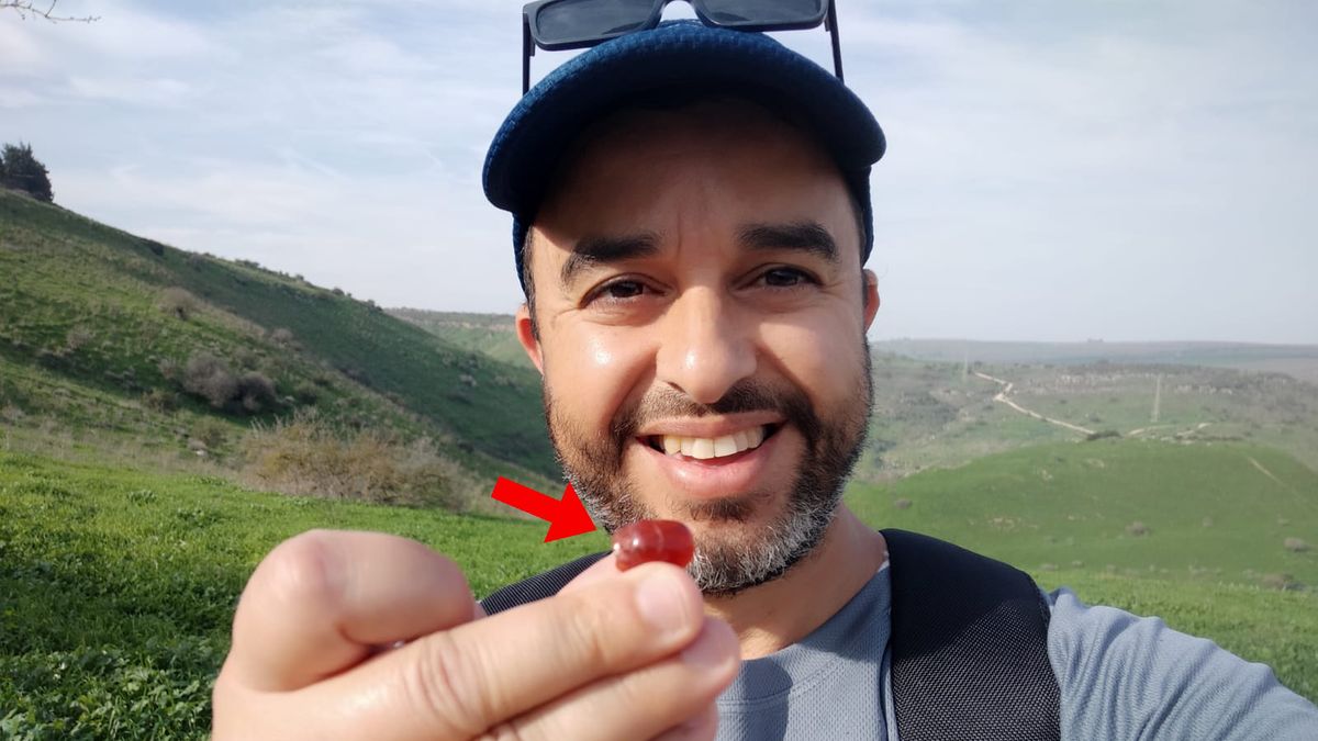 Znaleziony skarabeusz