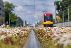 Warszawa. Porsche wypadło z jezdni na tory tramwajowe