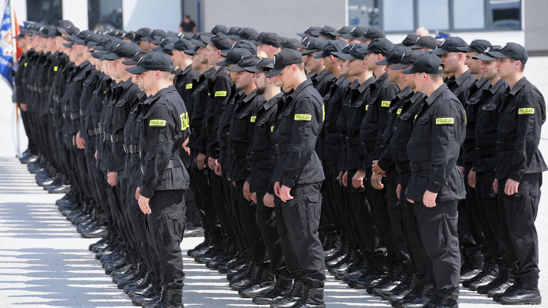 Zakręcony świat policji