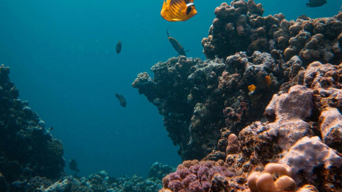 Niezwykłe odkrycie u wybrzeży Neapolu [zdj. ilustracyjne] 