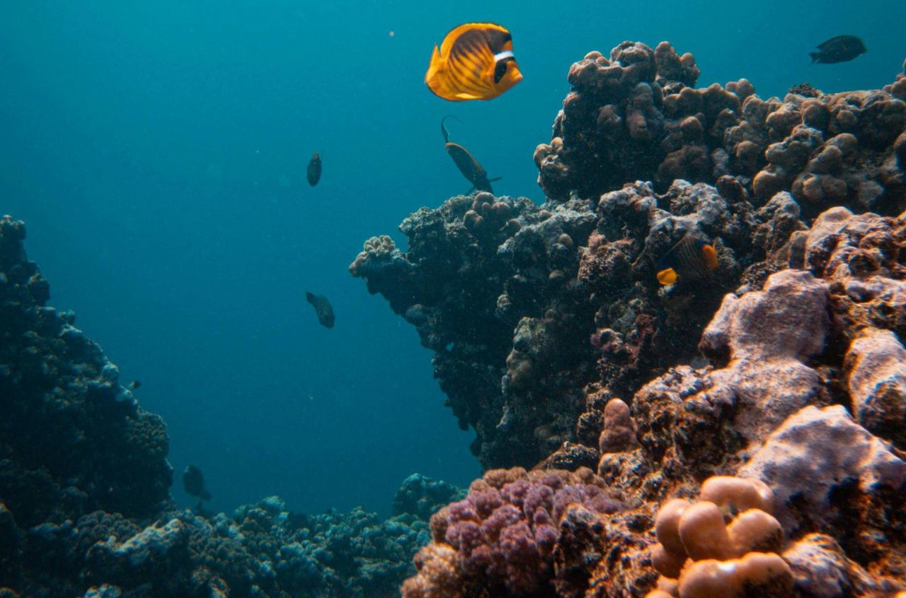 Niezwykłe odkrycie we Włoszech. Była ponad 500 m pod wodą