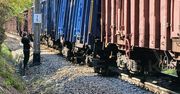 Warszawa. Wykolejenie jednego z wagonów pociągu towarowego na Woli