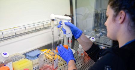 Inno-Gene pod lupą farmaceutycznego giganta. Na giełdzie euforia