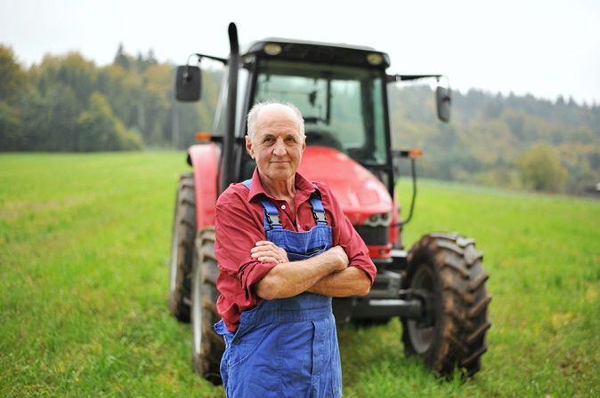 Symulator rolnika doczeka się kierownicy - jazda traktorem przed monitorem. Farming Simulator 2015: “Rolnik szuka żony” świata gier