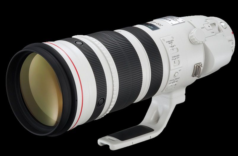 Superteleobiektyw Canon z telekonwerterem nareszcie trafi do sprzedaży 1