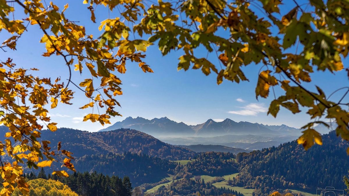 Polska złota jesień w obiektywie naszych czytelników 1