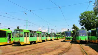 Poznań: Światowy Dzień Transportu Publicznego po raz pierwszy w mieście
