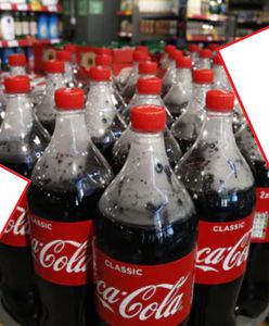 Opłata cukrowa napędza sprzedaż syropów. Zainteresowanie wyższe o 554 procent