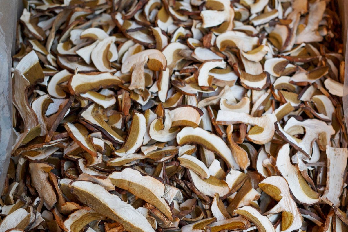 What to do to prevent mushrooms from darkening after eating?