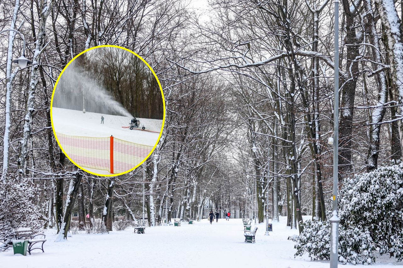 W Katowicach przecierają oczy ze zdumienia. Śniegu mają aż nadto