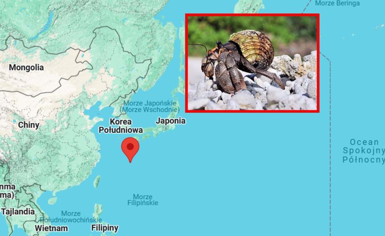 Mieli ich w walizkach tysiące. Aresztowanie w Japonii