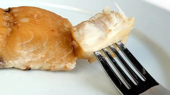 Te ryby są pełne rtęci. Nie podawaj ich dzieciom i ciężarnym