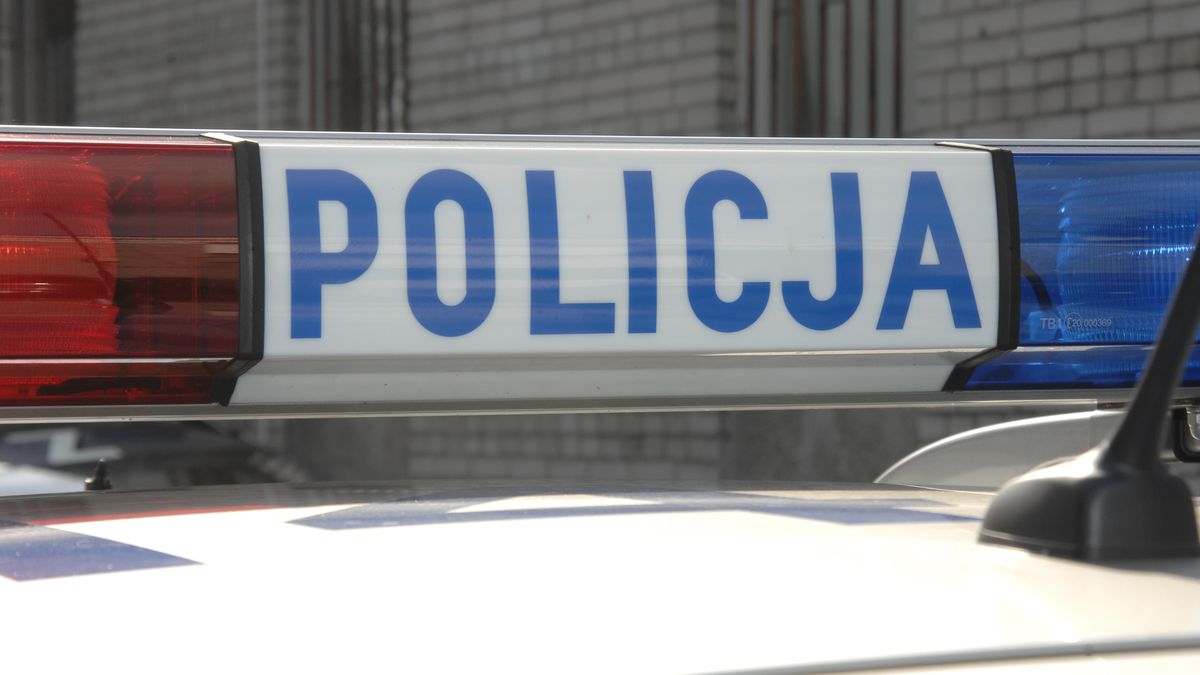 Radiowóz polskiej policji, koguty