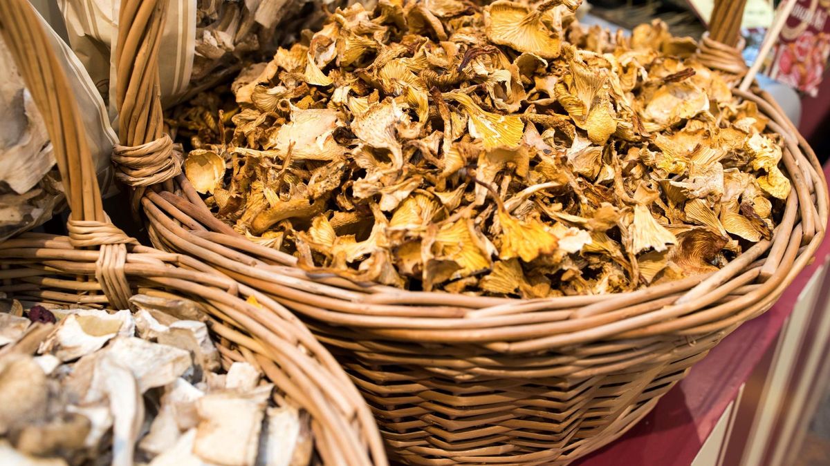 Suszone sproszkowane kurki to bomba składników odżywczych