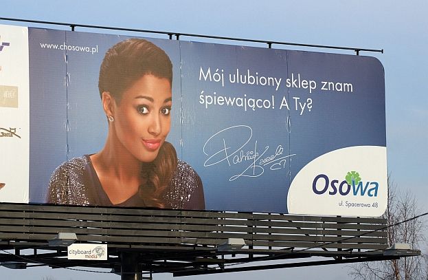 Obraz