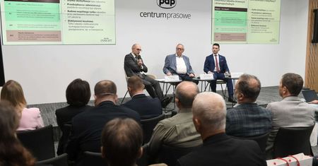 Recykling drewna - niewykorzystany potencjał polskiego sektora drzewnego