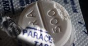 Natura zadziwia. Bakteria przekształca plastikowe odpady w paracetamol