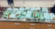 Przewoził blisko pół miliona tabletek zawierających fentanyl. Został zatrzymany