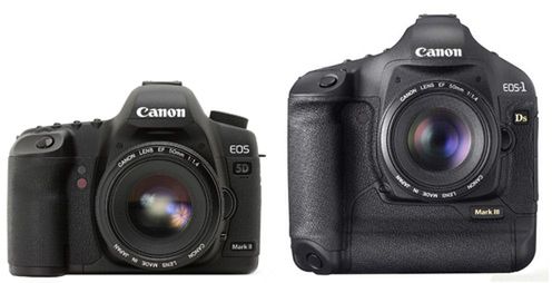 Canon 5D MK II vs Canon 1D MK III 1