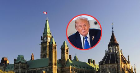 Kanada najbardziej zagrożona? Raport dot. politycznej rewolucji w USA