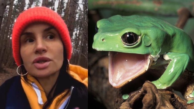 Viola Kołakowska wstrzyknęła sobie jad amazońskiej żaby