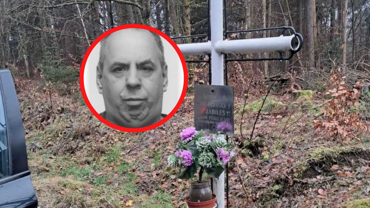 Makabryczna śmierć Sylwii. Pokazali miejsce tragedii.