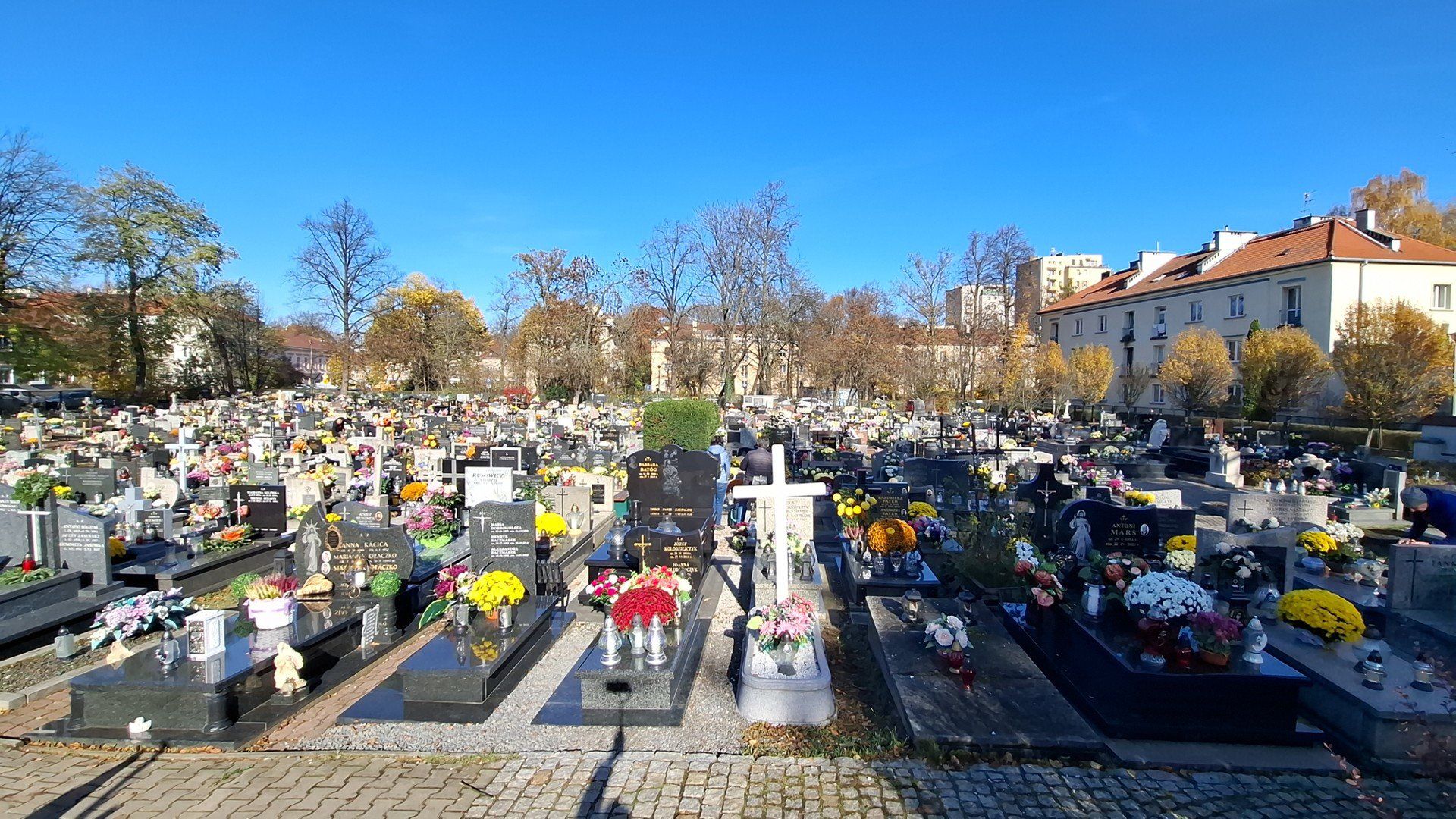 Cmentarz Mogilski w Krakowie