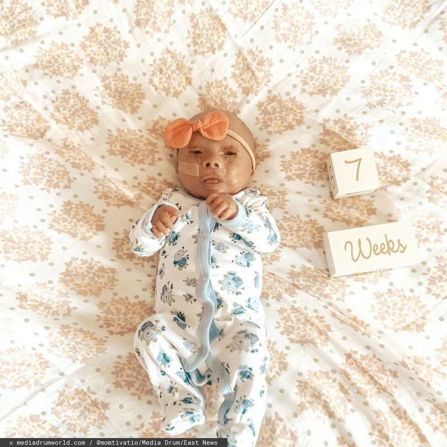 Hanna trafiła do domu Carli i Paula gdy miała 7 tygodni