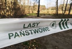 Będzie ponowny zakaz wejścia do lasów? Zagrożenie pożarowe jest coraz wyższe