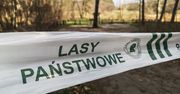 Będzie ponowny zakaz wejścia do lasów? Zagrożenie pożarowe jest coraz wyższe