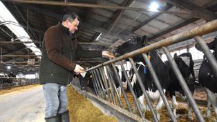 Zwierząt w gospodarstwach ubywa, więc młodzi dostaną finansową zachętę