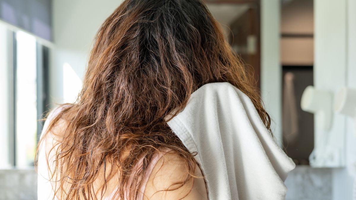 Rear view of woman dries her wet hair after shower.
Wet hair mean hair is totally soaked through with water.
Boy_Anupong