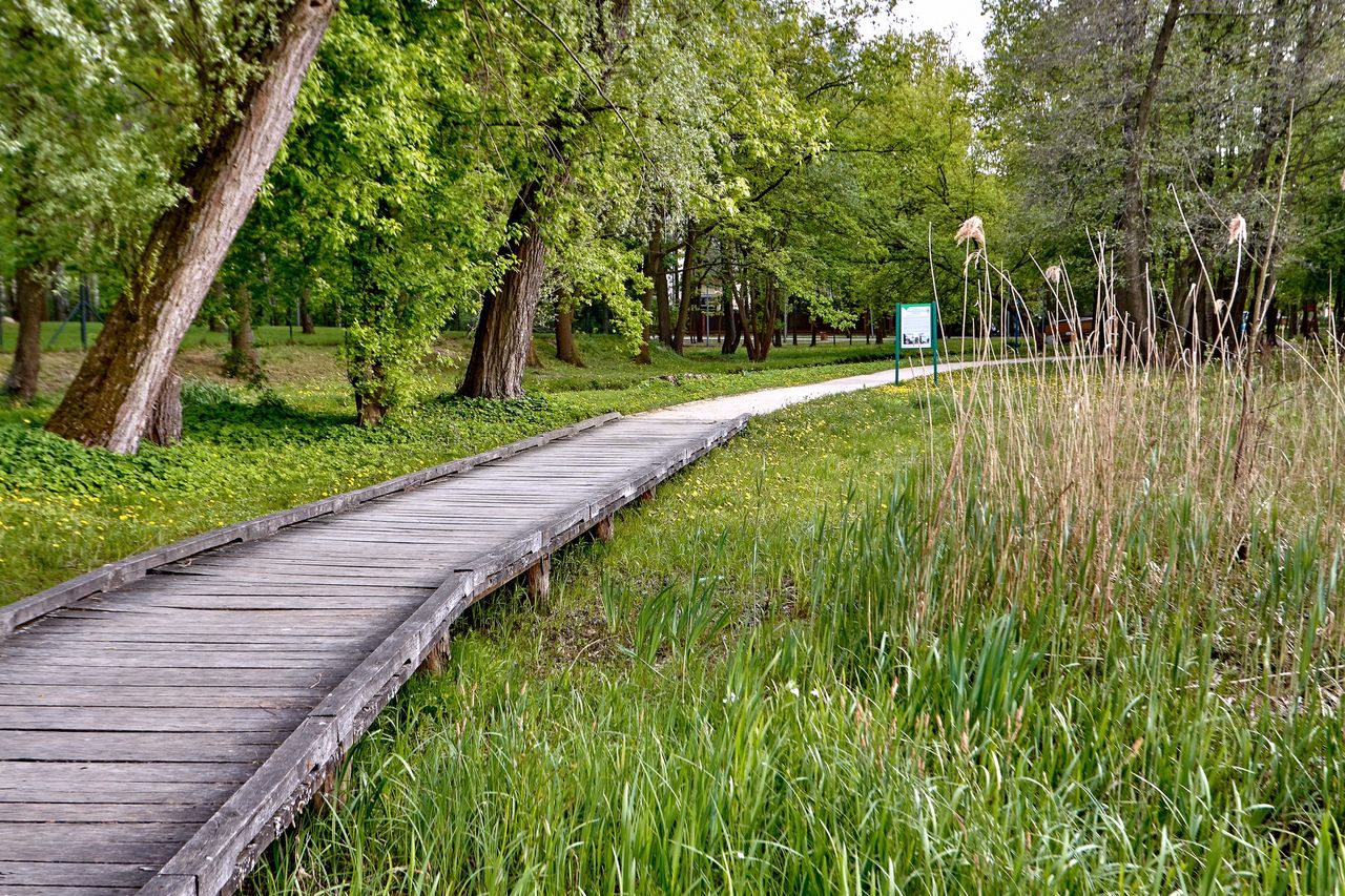 Konstancin-Jeziorna. Miasto uzdrowiskowe o ciekawej historii