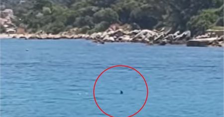 Panika na plaży w Chorwacji. Ludzie uciekali z wody