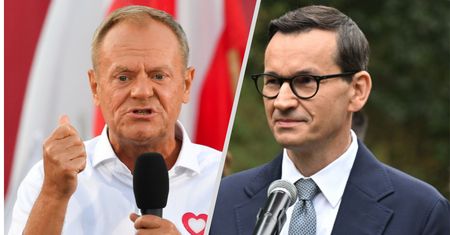 Tusk o majątku żony premiera. "Nie trzeba było, Mateuszu"