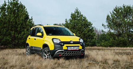 Fiat Panda Cross 4x4 - galeria testowa