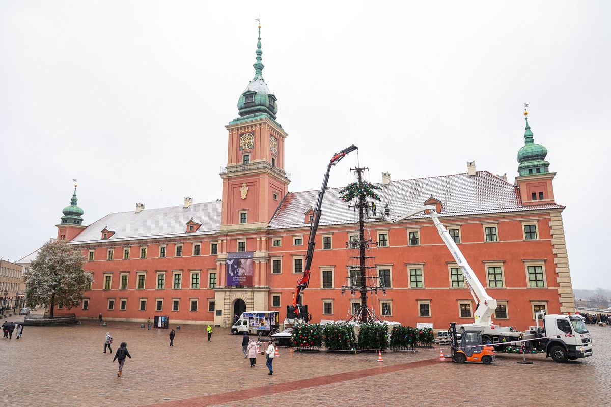 Головна новорічна ялинка Варшави встановлена на Замковій площі