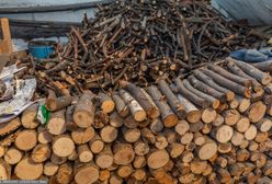 Ceny opału na początku jesieni. Tyle kosztuje metr drewna