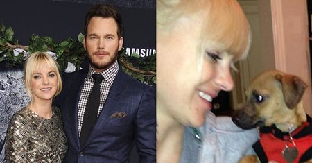 Chris Pratt i Anna Faris PORZUCILI PSA! Został znaleziony na ulicy...