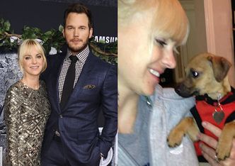 Chris Pratt i Anna Faris PORZUCILI PSA! Został znaleziony na ulicy...