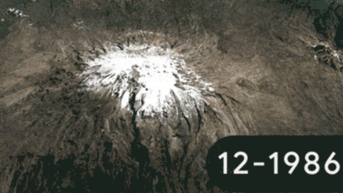 Google Doodle - Dzień Ziemi 2022 