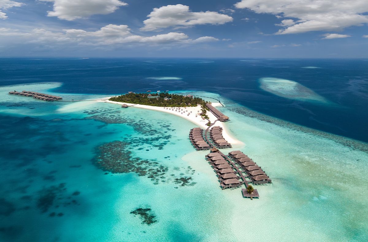 Malediwy słyną m.in. z raf koralowych