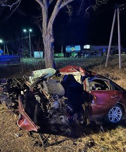 Samochód uderzył w drzewo. Nie żyje 32-latek
