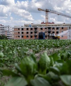 "Banki ziemi" w Warszawie. Deweloperzy wstrzymują budowę tysięcy mieszkań