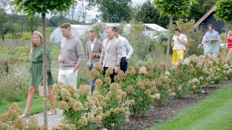 Forgotten Fields Farm Wojciecha Modesta Amaro