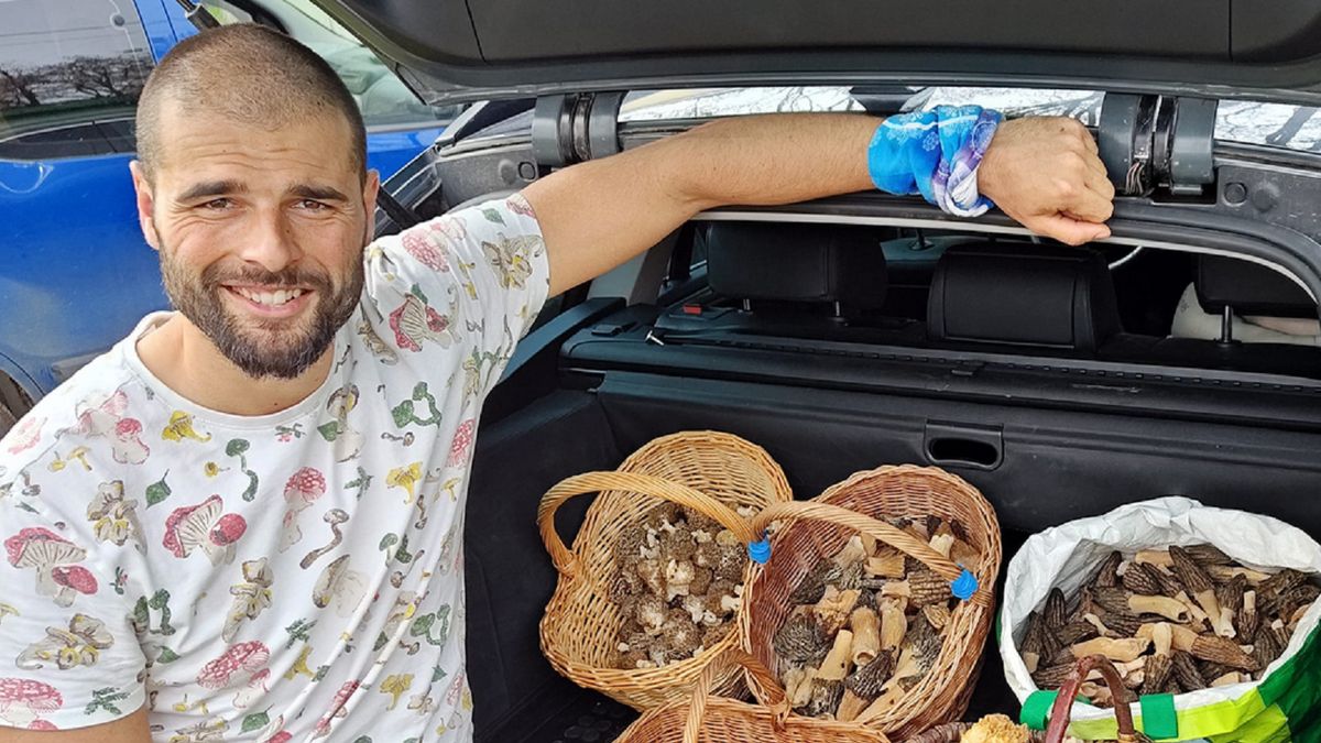 Leśnik Piotr Grześ podpowiada, jak szukać cennych grzybów