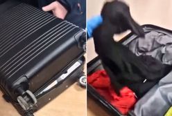 Odkrycie w bagażu na granicy. Nagranie z Terespola