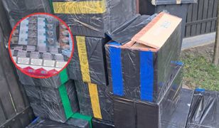 Weszli do mieszkania w Radomiu. Potężna skala odkrycia