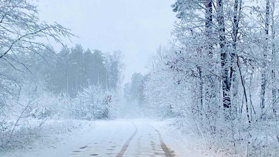 Śnieżna niedziela w Pułtusku – sprawdź, kiedy zacznie sypać
